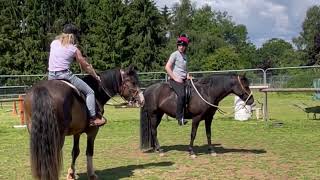 How to train your own horse PART 2 How to bend flex and steer the young horse correctly [upl. by Droffats]