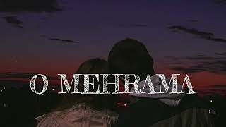 o MEHRAMA LOFI SONG 🎵 ☺️☺️trending music tseries [upl. by Aneerehs425]