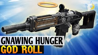 The Gnawing Hunger V2 Subsistence  Kill Clip God Roll  Destiny 2  PS4 [upl. by Nnylyak]