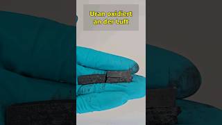 metallisches Uran oxidiert an der Luft chemie uran chemistry experiment [upl. by Vinna]