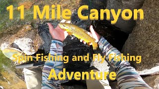 Great Fishing in a beautiful canyon fishing flyfishing trout browntroutfishing nature river [upl. by Bensen575]