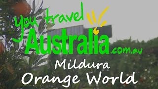 Mildura  Orange World  Victoria  You Travel Australia [upl. by Attaynik]