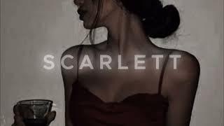 Shameless  Camila Cabello sped up [upl. by Llenyr]