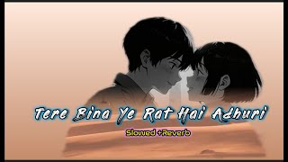 Tere bina ye rat hai bas adhuri☘️  slowed and reverb [upl. by Candis460]