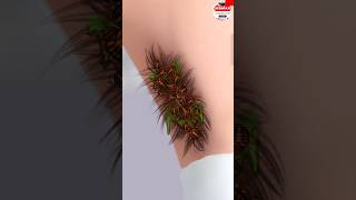 Under arms cleaning 🧹 with 3d animation shorts asmr 💯 [upl. by Judus]