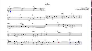 Nota Akor Eşlik  Son Kuşlar  C Instruments  La [upl. by Hbahsur]