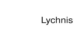 How to pronounce Lychnis [upl. by Ailito920]