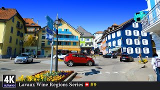 Lavaux Vineyards Switzerland 🇨🇭 Ep9  Scenic Spring Road Trip from Jongny Vaud to Vuadens Fribourg [upl. by Baldwin]