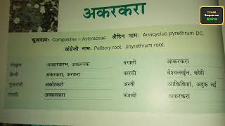 Akarkara pellitory root अनोखे फायदे [upl. by Eelaroc]