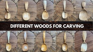 Wood Varieties For Spoon Carving  Deborah Schneebeli Morrell [upl. by Phillada]