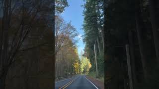 Autumn drive  Whidbey Island travel roadtrip natureinspired [upl. by Ydahs]