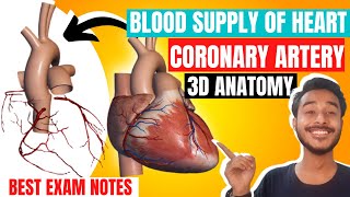 INTERNAL THORACIC ARTERY Easiest way to learn [upl. by Donnie]