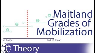 Maitland Mobilization Grades [upl. by Jahdiel]