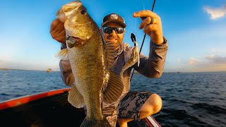 Swim Jig and Chatterbait Tips For Prespawn Bass In The Shallows [upl. by Myers607]