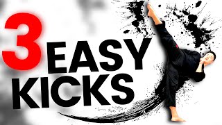 TAEKWONDO KICKS FOR BEGINNERS  3 Easy Kicks ANYONE Can Do [upl. by Clabo]