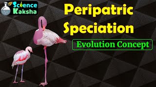 PERIPATRIC SPECIATION In Hindi  CSIR NET  GATE  EVOLUTION [upl. by Deer]