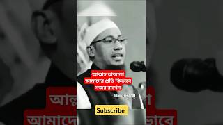 আল্লাহ তাআলা আমাদের উপর কিভাবে নজর রাখেন। islamicvideo asrafi islamicsayings islamicshorts [upl. by Meta]