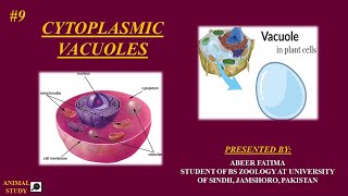 cell biology  Lecture 9 Vacuoles structure and functions  animal and plant vacuoles [upl. by Penthea]