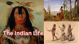 The Dark History of Native American Tribes Exposed [upl. by Anawal297]