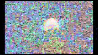 Asteroid 2005 YU55 wmv [upl. by Onida]