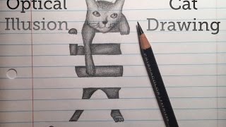 Optical Illusion Cat Drawing [upl. by Lucien730]