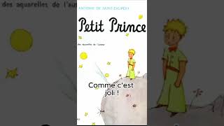 Le Petit Prince 015 [upl. by Nickolas245]