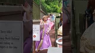 disneyprincesses disneyshorts youtubeshorts disney waltdisneyworld disney magickingdom [upl. by Artur]