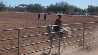 Future Beginner Horsemanship 3Gaited  IEA Western Class 2024 [upl. by Adehsor]