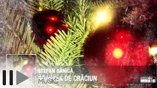 Stefan Banica  Noaptea de Craciun [upl. by Reinertson857]