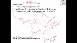 Lec 11 Streptococcus Streptokinase  MICROBIOLOGY [upl. by Coffee280]