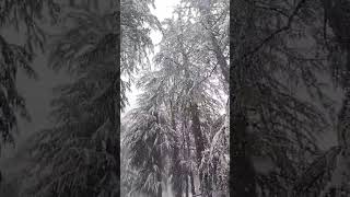 Ham batak songs snowfall snow travel to home [upl. by Newkirk]