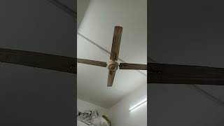 My old Havells ceiling fan [upl. by Tezile]