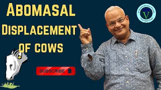 Understanding Abomasal Displacement in Cows Causes Symptoms and Treatment [upl. by Luther]