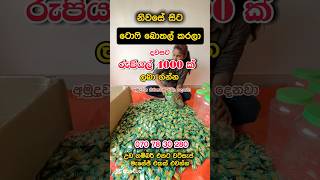 දවසට රුපියල් 4000 ක් ගන්න එකතු වෙන්නjob jobvacancy jobs2024 job2025 workfromhomejobs lkjobs [upl. by Brockwell]