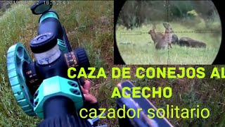 caza de conejo al acecho 🐰🐰🐰🐇🐇🐇 hunting rabbit [upl. by Garner333]