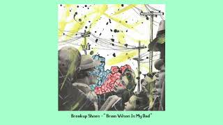 Breakup Shoes  quotBrian Wilson Is My Dadquot Official Audio [upl. by Robins]