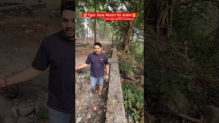 Bengal Tiger inside resort in corbett youtubereels tiger jimcorbett travelvlog viralshort [upl. by Ela827]