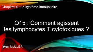 Chap 4  Le système immunitaire  Q15  Comment agissent les lymphocytes T cytotoxiques [upl. by Dachia]