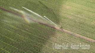 Irrigation dune production de semences de maïs hybride [upl. by Ycnaffit381]