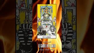 El carro significado en el amor Tarot rider waite shorts arcanosmayores tarotriderwaite tarot [upl. by Snave]