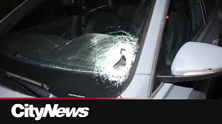 Two more incidents of rocks thrown at cars reported in Markham [upl. by Maddi251]