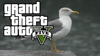 GTA V  TOUS LES PEYOTES  LA MOUETTE [upl. by Russon673]