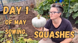 Sowing And Growing Squashes Guide For Beginners Day 1 Of May Sowings [upl. by Bremer]