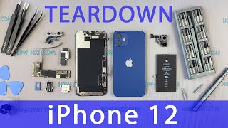 iPhone 12 Teardown [upl. by Aia306]