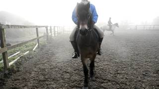 Exmoor Pony Riding  Laura Chilton [upl. by Anerres]