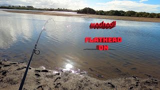 Caught my first Flathead Lure fishing the Coombabah Creek [upl. by Erle]