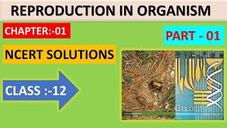 NCERT solutions of Reproduction in organisms  biology chapter 1 class 12th [upl. by Kalk]