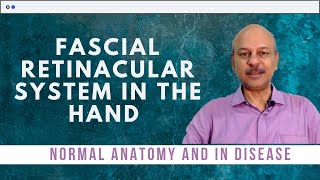 The fascial retinacular system in the hand  Normal anatomy and what happens in disease [upl. by Nira]