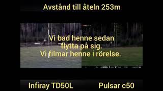 Infiray TD50L vs Pulsar Digex C50 Daytime [upl. by Faydra]