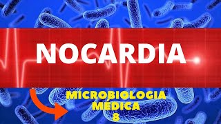 NOCARDIA  MICROBIOLOGIA MÉDICA  AULA 8 [upl. by Alberik577]